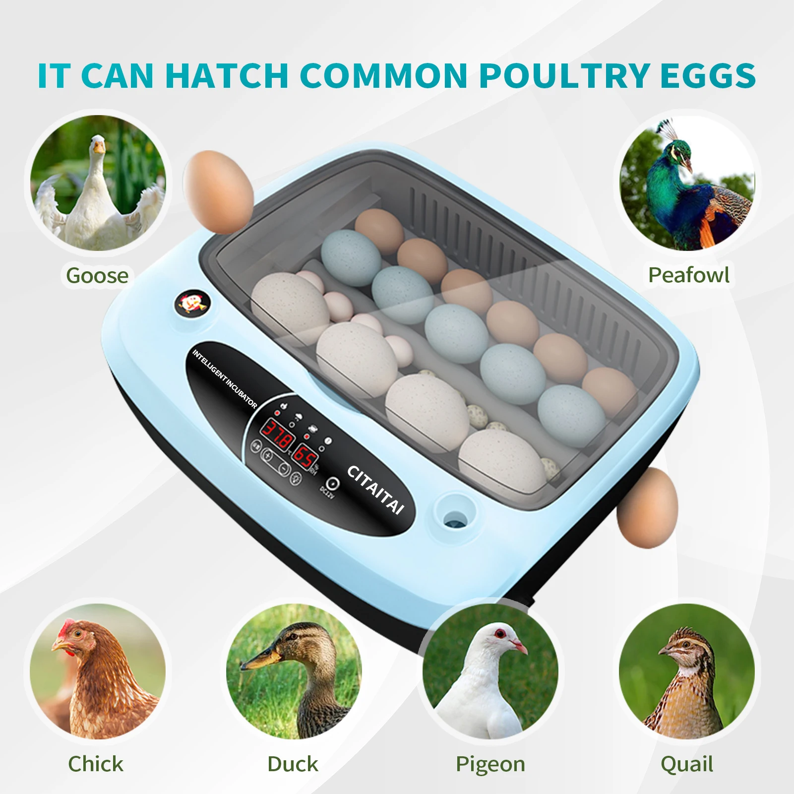 15 Eggs Incubator Automatically Brooder Goose Duck Quail Pigeon Poultry Turn Hatching Machine Automatic Farm Tool | Дом и сад