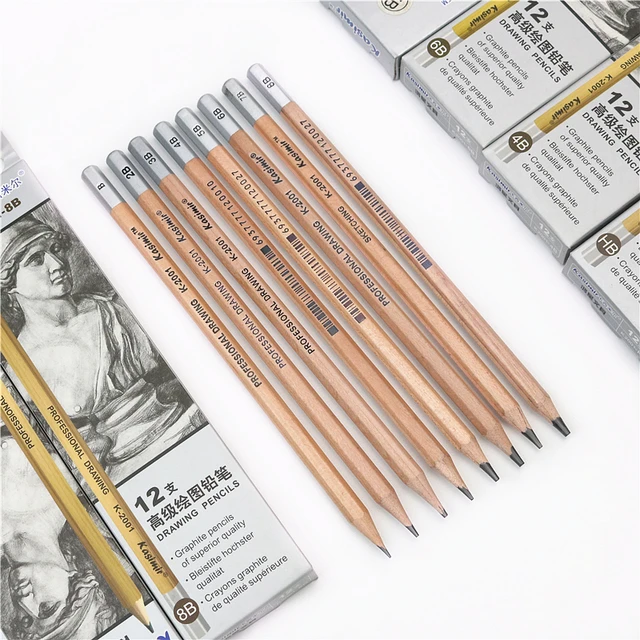 12pcs/set Drawing Pencil Set Wooden Professional Art Supplies Sketch And  Drawing Writing Pencil Art Painting Stationery 2b 4b 6b - Wooden Lead  Pencils - AliExpress