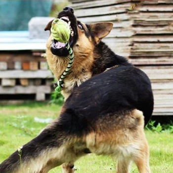 

Practical Multifunction Pet Molar Bite Dog Toys Rubber Chew Ball Cleaning Teeth Safe Elasticity Soft Puppy Suction Cup Biting