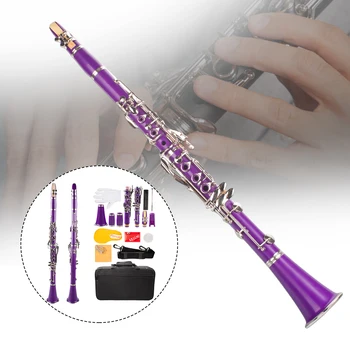 

B Flat Beginner Student Clarinet with 2 Barrels, Case, Stand, 10 Reeds, Mouthpiece (Purple)