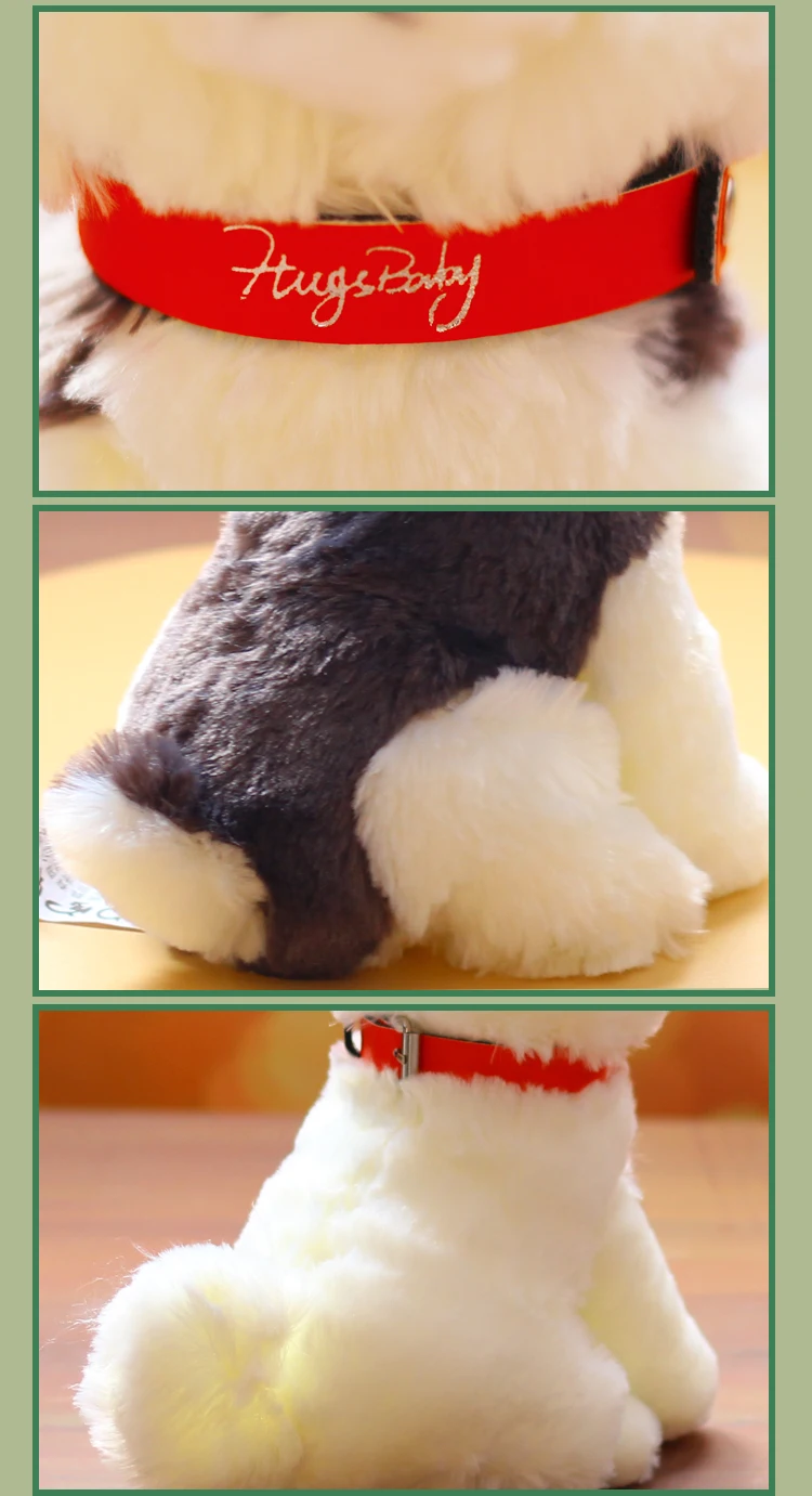 O1CN01ncPxHI26rWCKgoGXr_!!1932457715