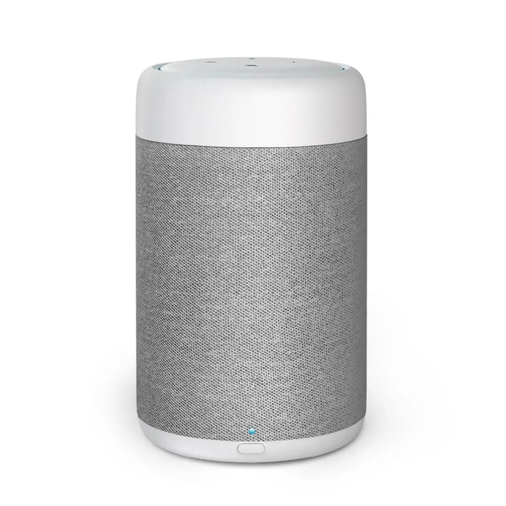 amazon echo dot portable