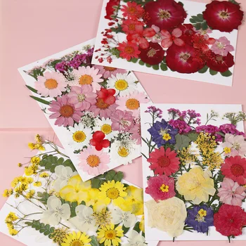 

1lot Mix style Beautiful Real Pressed Flower Dried Flowers for Art Craft Epoxy Resin Jewelry Craft Making Epoxy Mold Filling