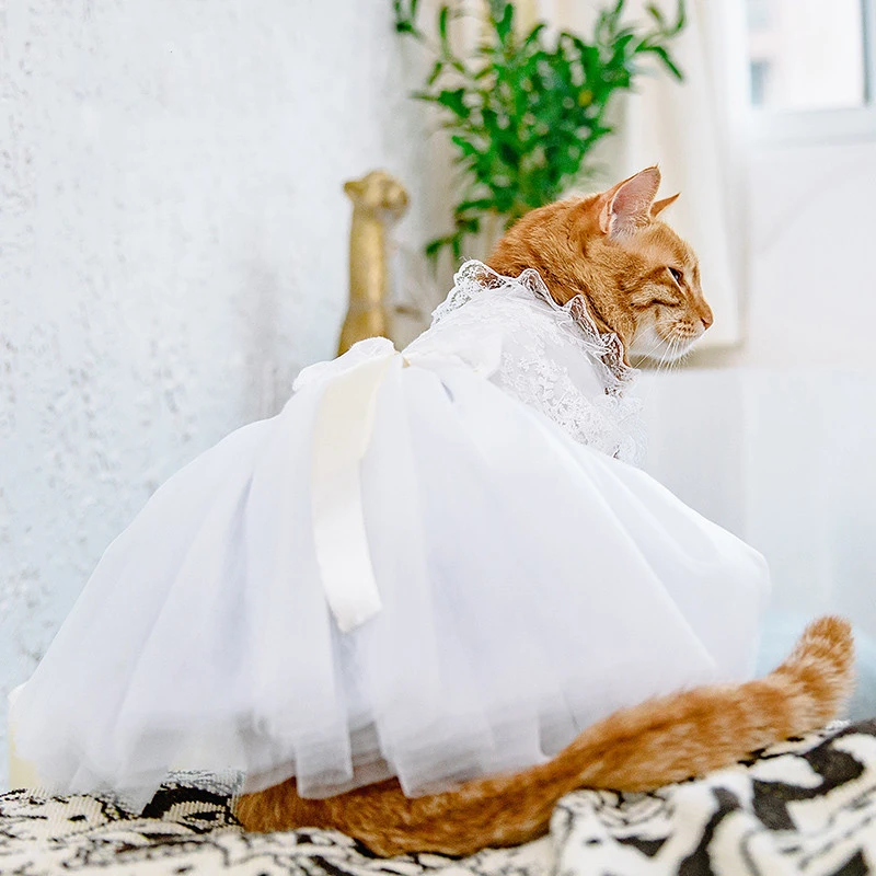 猫の服猫プリンセスドレス猫のウェディングドレス猫アクセサリー小型犬服テディマルチーズチワワ犬のウェディングドレス Cat Clothing Aliexpress