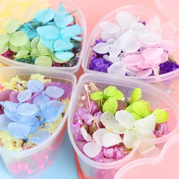 

1 Box Colorful Real Dried Flower Plant For Aromatherapy Candle Epoxy Resin Pendant Necklace Jewelry Making Craft DIY Accessories