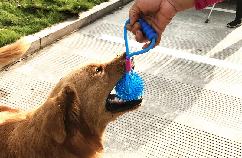 10384658160_2134595315