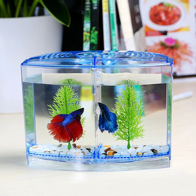 Acrylic Mini Aquarium Double Betta Fish Bowl Aquariums Incubator Box For  Betta Isolation Hatchery Reptile Cage Turtle House - AliExpress