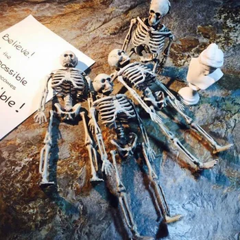 

Skeleton Human Model Skull Full Body Mini Toy Phone Human Model Anatomy Skeleton Skeleton Model Halloween Party Decoration·