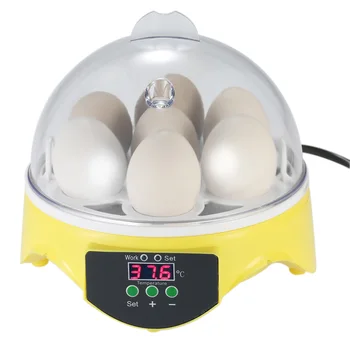 

7 Eggs Incubator Hatcher Transparent Eggs Hatching Machine Automatic Temperature Control for Chicken Duck Bird Eggs