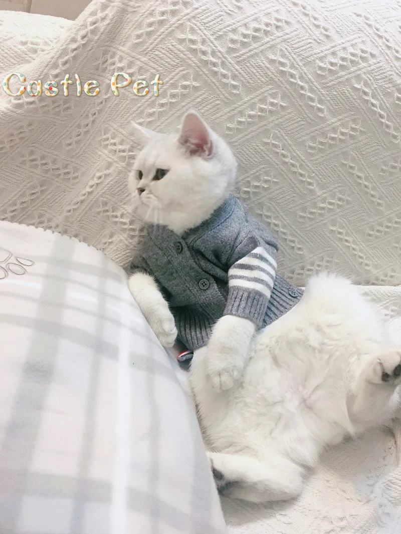 O1CN015Csd3L2NOWWDvltGQ_0-ra