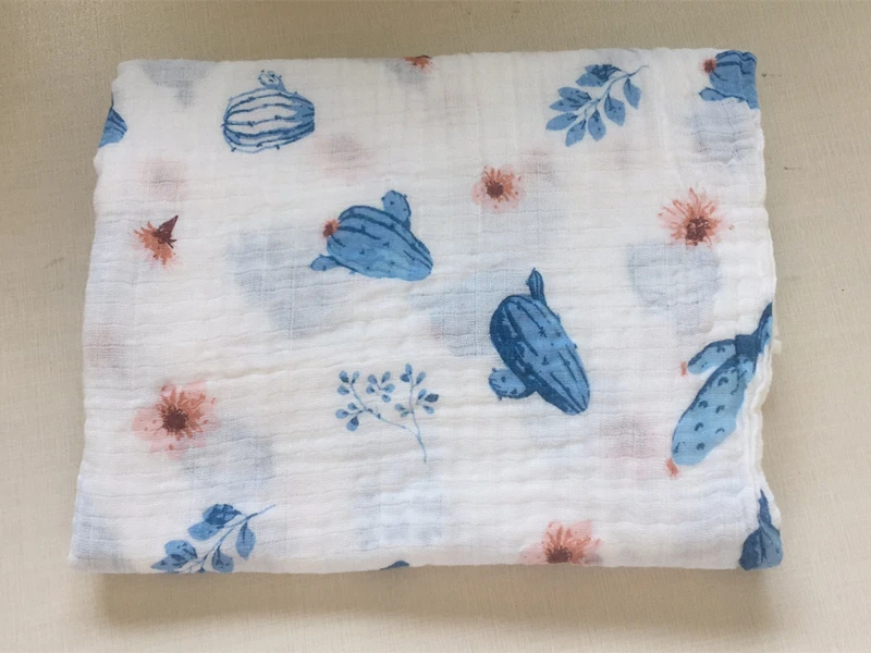 仙人掌花