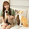 Simulation Pillow American Shorthai &Siamese Cat Plush&Stuffed Lifelike Doll Animal Pet Toys For Children Home Decor Baby Gift ► Photo 2/6
