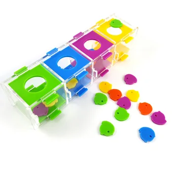 

Color Separate Bird Ring Interactive Parrot Toy Set Intelligence Training Small Development Pet Funny Toys