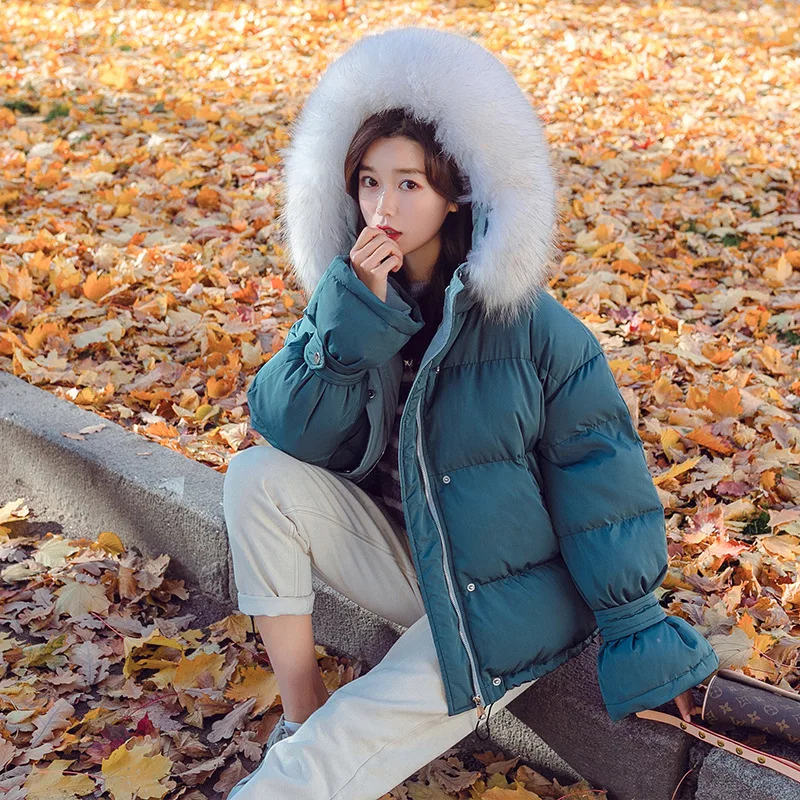 

Photo Shoot Douyin Cuff with Strap Short Cotton Coat Women's in College Style Large Fur Collar Versatile Loose Thick Cotton Over