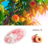 Peach 100pcs
