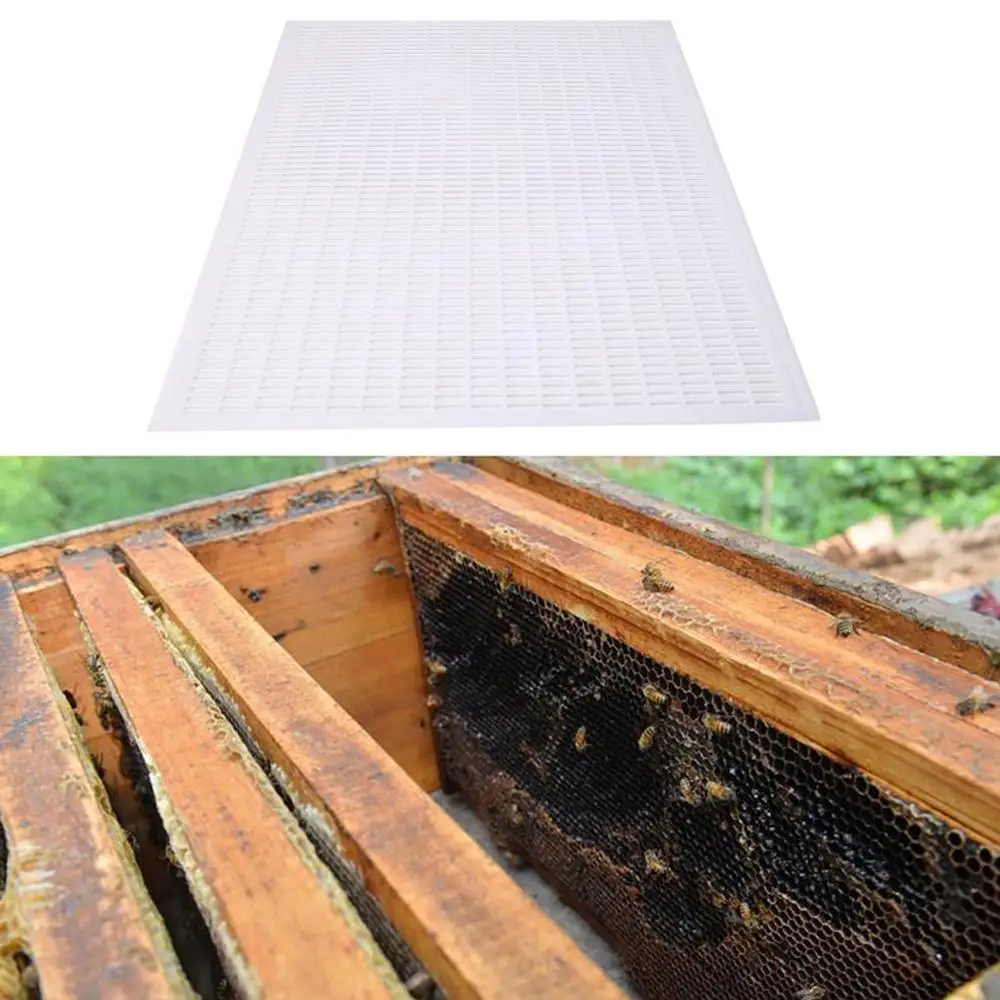 

1Pcs Beekeeping Board Beekeeper Bee Queen Plastic White Excluder Trapping Grid Net Kits Equipment