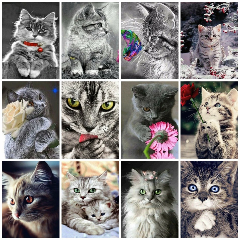 

AZQSD Painting By Numbers Cat Pictures Oil Painting By Numbers Animal Arcylic Oil Painting Hand Paint Kit Canvas Home Decor