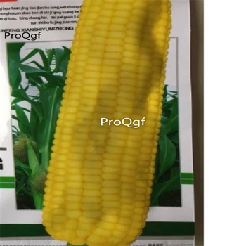 

Prodgf 200Pcs A Set yellow corn