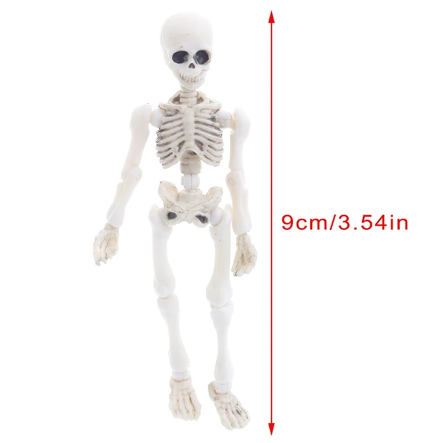 Movable Mr. Bones Skeleton Human Model Skull Full Body Mini Figure Toy Halloween 54DA 4