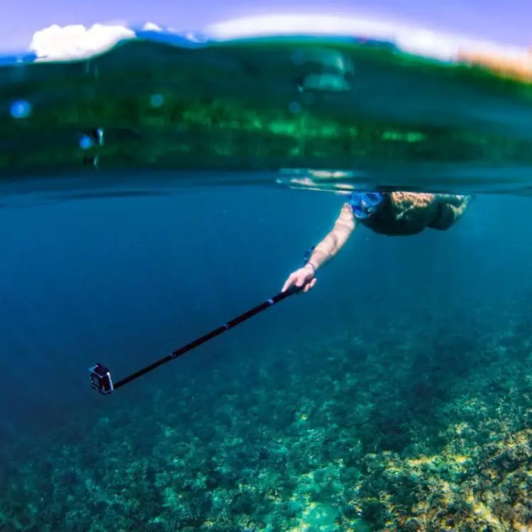 8701464351_1262200576