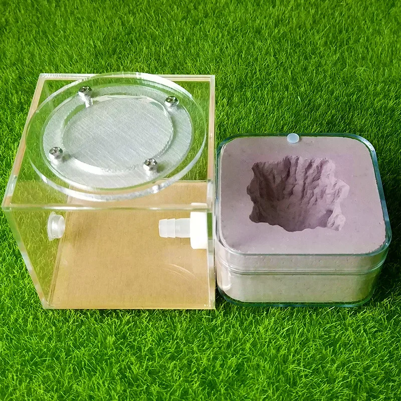 Plaster Ant Nest Acrylic Ant Farm Ants Queen House Insect Cage Anthills Pet Ant House Granja De Hormigas Hormiguero (7)