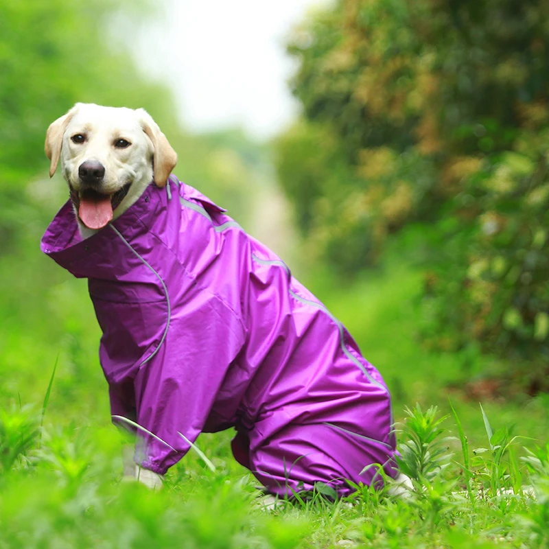 com capuz macacão para cães grandes pequenos macacão capa chuva labrador