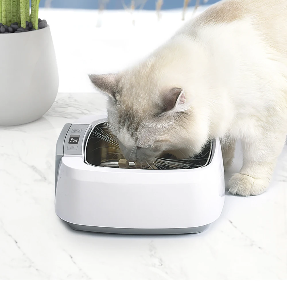1.5L Adjustable Digital Display Thermostat Pet Bowl Travel Puppy Cat Drinking Water Bowl Outdoor Pet Water Dispenser Feeder