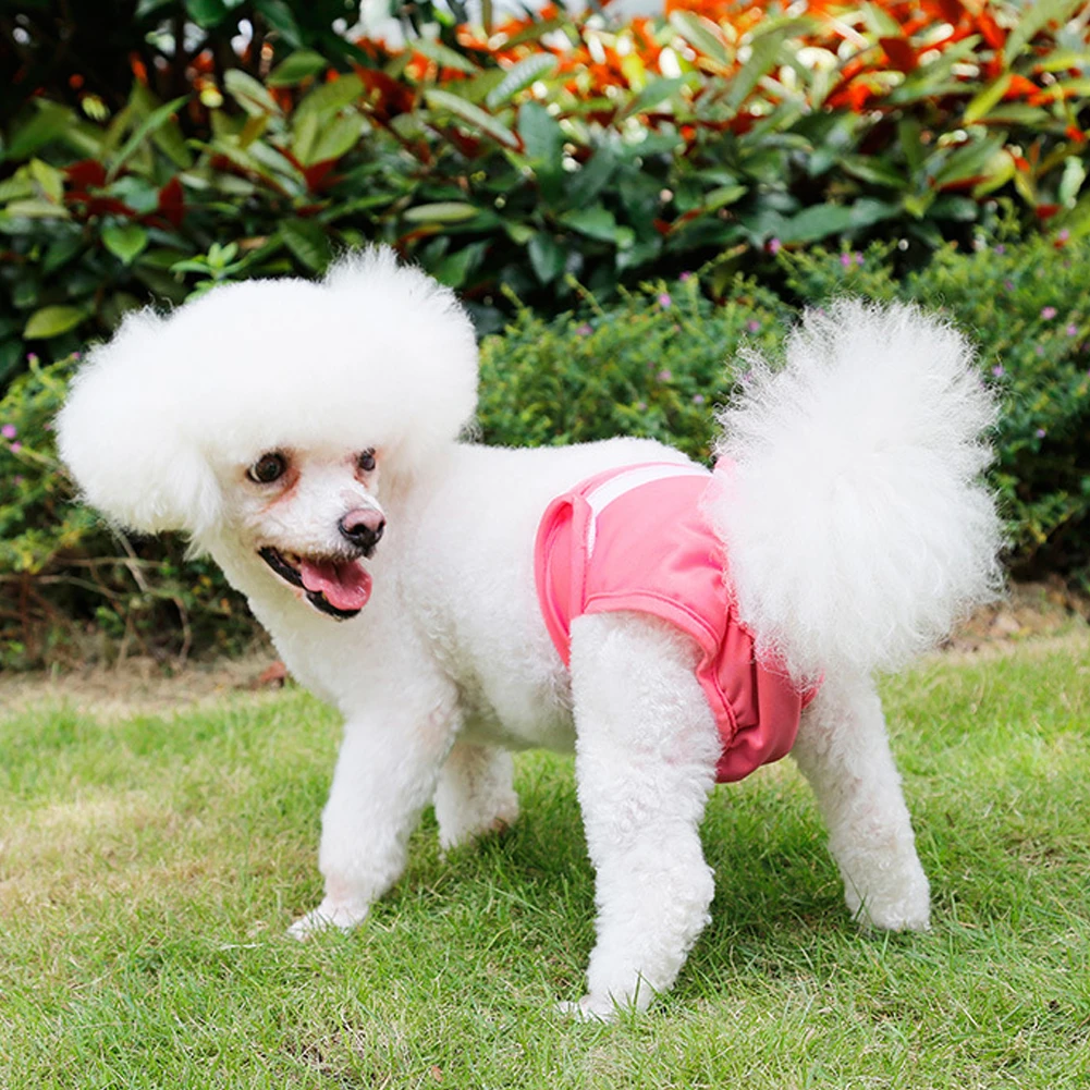 Женские физиологические брюки для собак многоразовые моющиеся штаны для домашних животных гигиенические подгузники