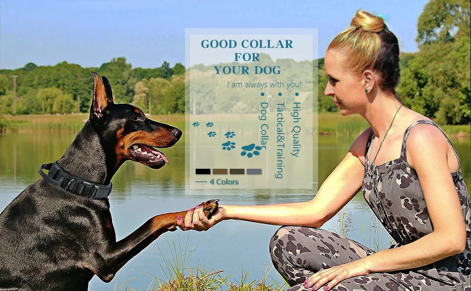 微信图片_20191125174635