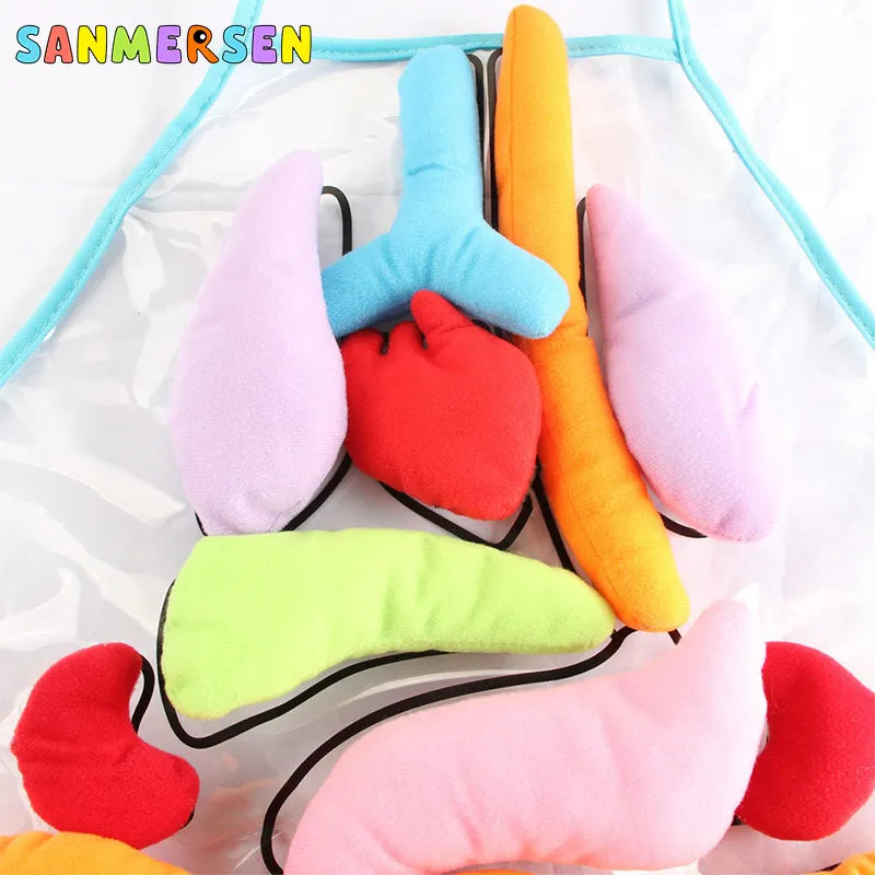  Educational Insights Toys For Children Anatomy Apron Human Body Organs Awareness Preschool Science  - 4000473171178