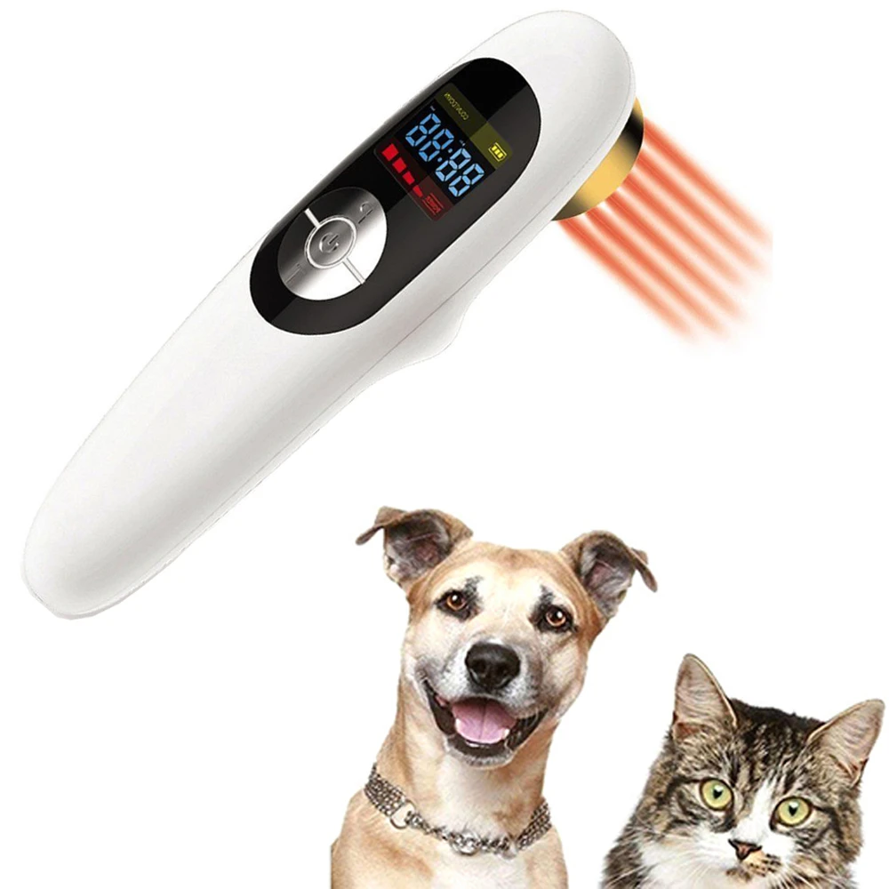 cold laser therapy for pets