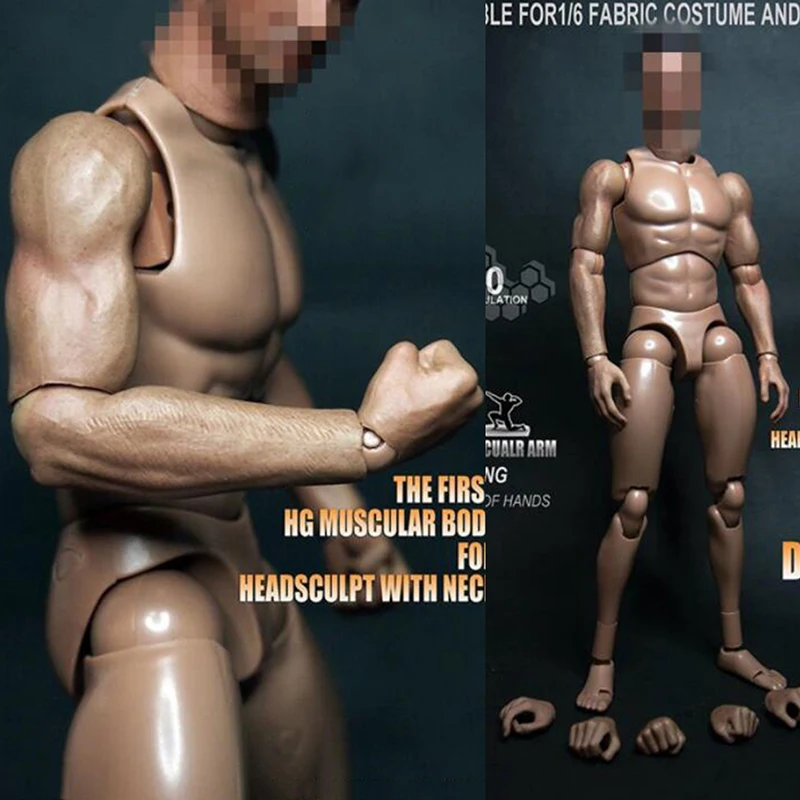 VERYHOT V1-M Dark brown muscle 1//6 BODY flexible and coordinate similar TTM19