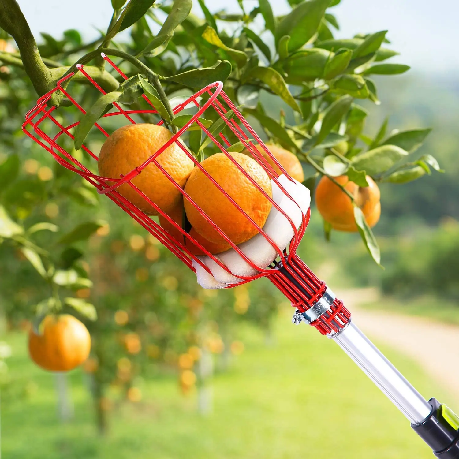 Fruit Picker Head Basket Apple Picking Harvester Horticulture Gardening To xfgh 