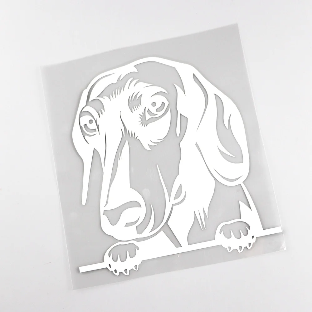 

Car Sticker for Dachshund Car Sticker Containing Black/silver PVC Sticker of 15.2cm X 15.9cm