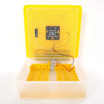 

48-Egg Practical Fully Automatic Poultry Incubator Yellow & Transparent US Plug