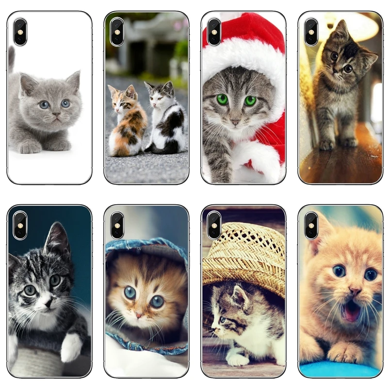 Чехол с забавным котенком и котом для iPhone 11 Pro XS Max XR X 8 7 6 6S Plus 5 5S SE 4 iPod Touch чехол |