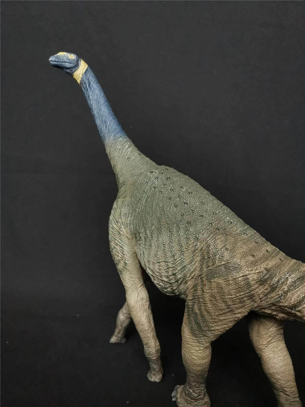 Sauropod Dinosaur Eofauna Model Atlasaurus Brachiosaurus Kin 