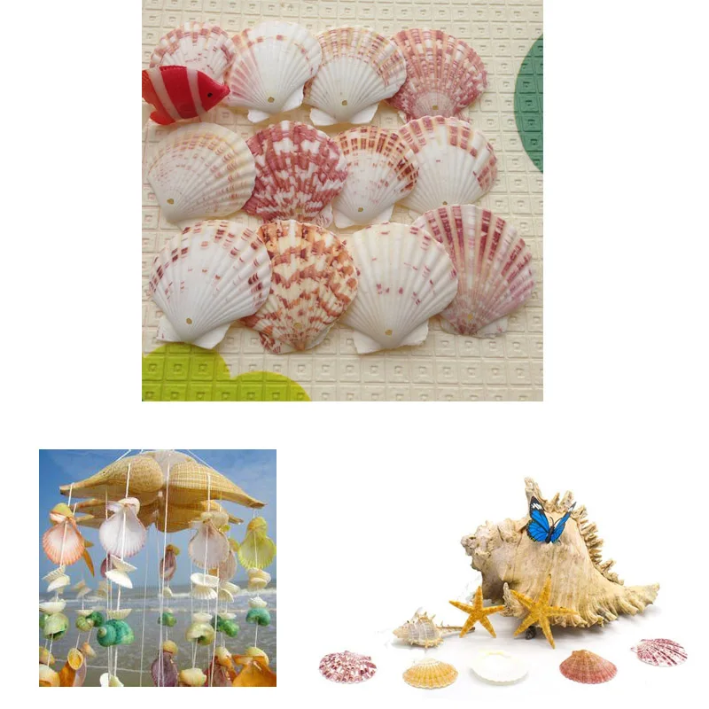 100 шт./пакет морские раковины Schelpen Coquillage Conchas Shell для украшения дома Вавилон морской домашний Морской Декор 1,5 мм гребешок
