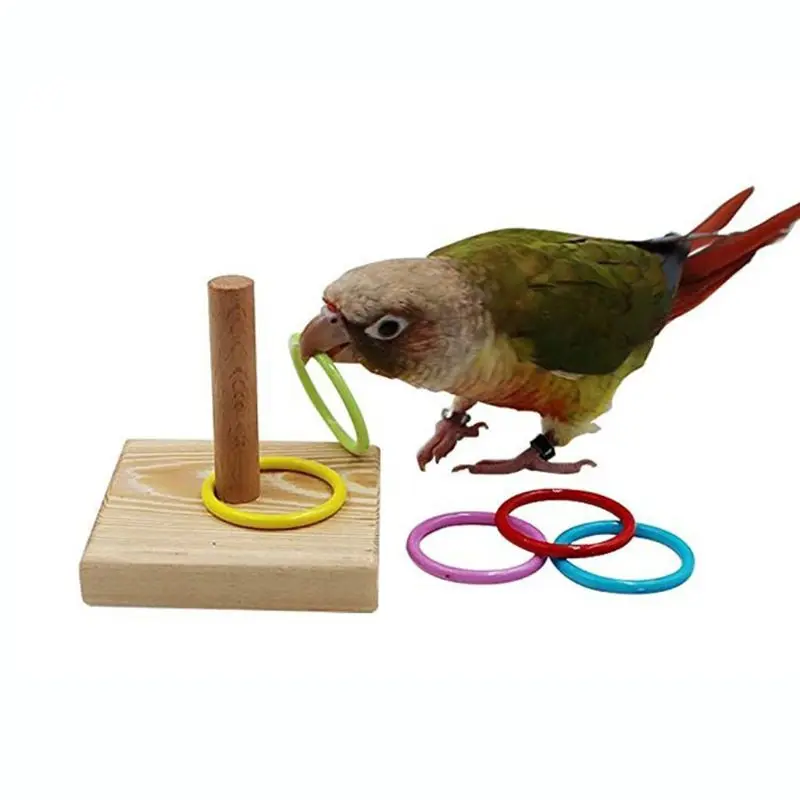 Деревянная птица попугай платформа пластиковое кольцо интеллект обучение жевательная игрушка птица игрушка