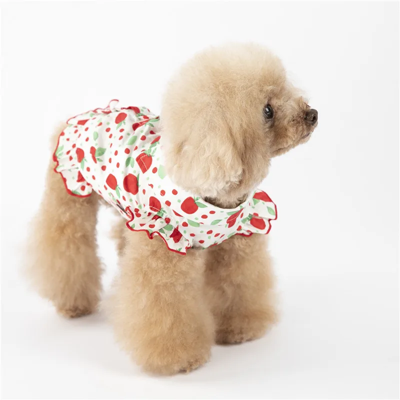 puppy dog shirt summer small dog (13)