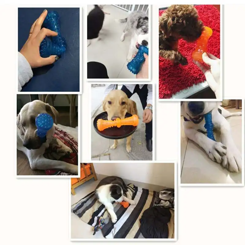 Для животных, из ТЭП жевательные игрушки кости молярная щенок без зубцов яд резиновые браслеты, чистой собаки здоровья плюшевых игрушек