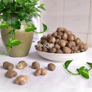 

Ngryise 20Pcs A Set yam yam