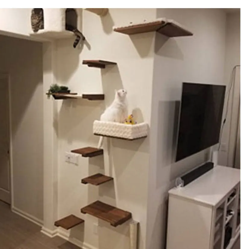 huojia_19