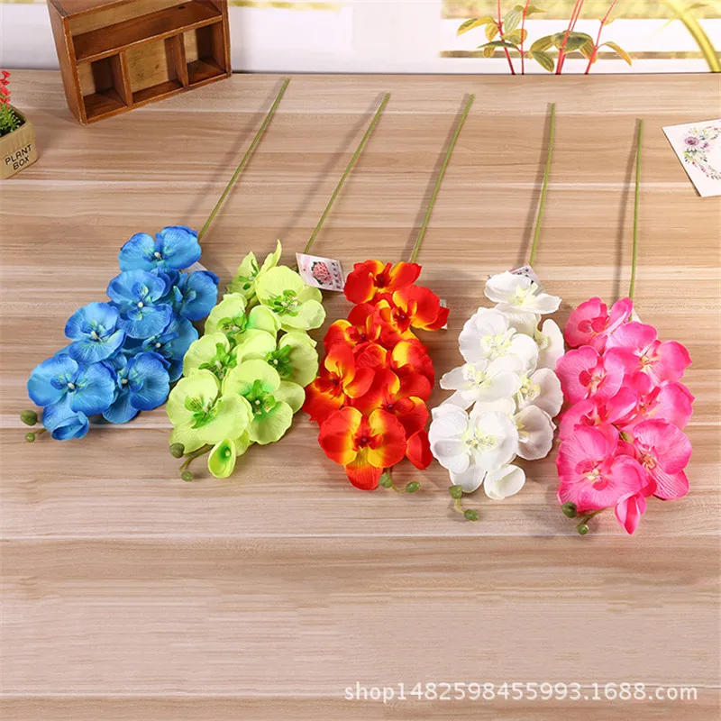 3961224755_1934473274