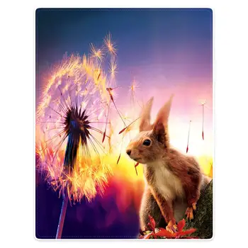 

Hommomh Throw Blanket soft comfortable light nap sofa bed travel warm PLUSH THROW dandelion and squirrel
