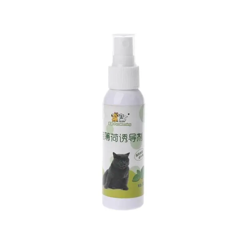 50ml Catnip Spray Cat Excitement Toy Cat Organic Natural Scratch Healthy Inducer Catnip Funny Scratch Toy 