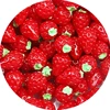 10pcs DIY Resin Charms Slime Supplies Additions Decor For Slime All Filler Cute Strawberry Phone Case Accessories Craft Ornament 1