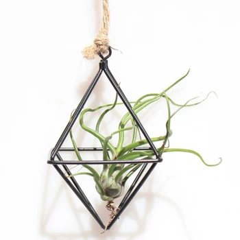 

Freestanding Hanging Planters Geometric Swing Wrought Iron Tillandsia Air Plants Holder Triangular Shaped Metal Rack Black