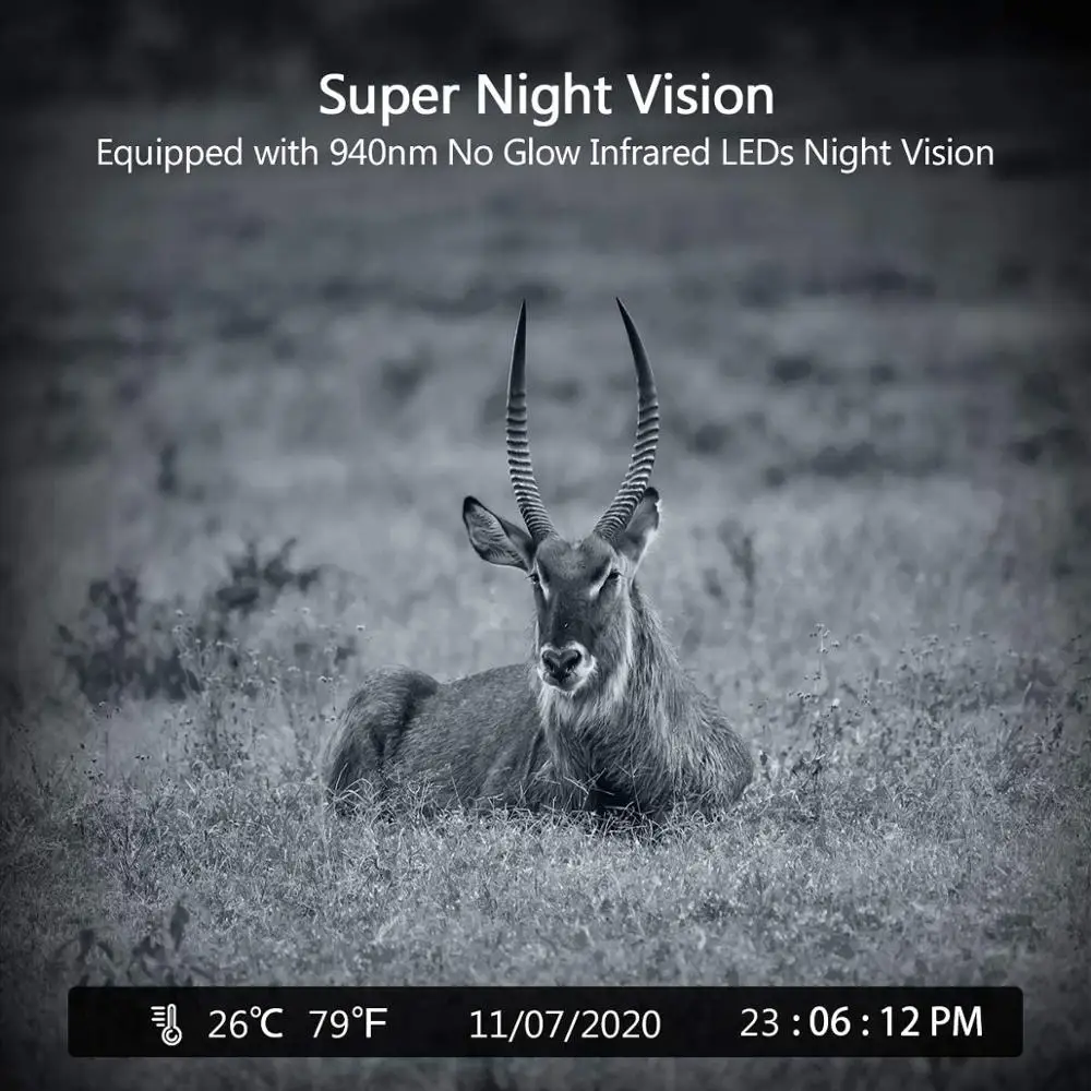 WIFI Trail Camera APP Live Show Hunting Cameras 24MP 1296P Wildlife WIFI801B Night Vision Outdoor Surveillance