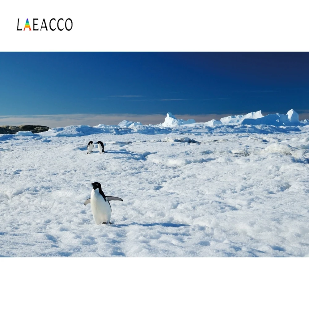 Laeacco с изображением антарктических пингвинов Айсберг фотографии фоны День Рождения украшения для детской вечеринки фотографические фоны для фотостудии